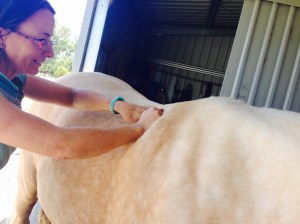 deep direct pressure 